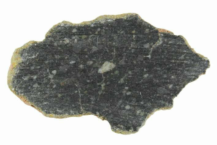 Polished Lunar Meteorite ( g) Section - NWA #360227